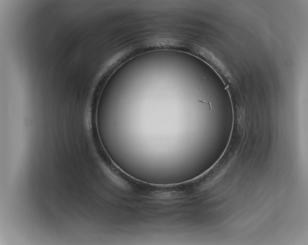 X0000113910629200909241510