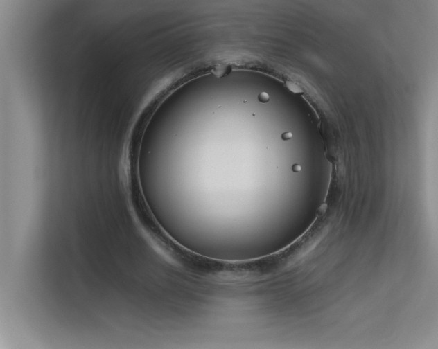 X0000113910630200909241510