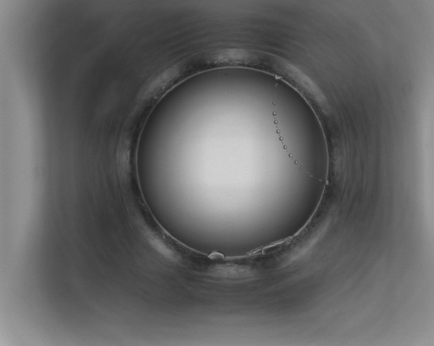 X0000113910633200909241510
