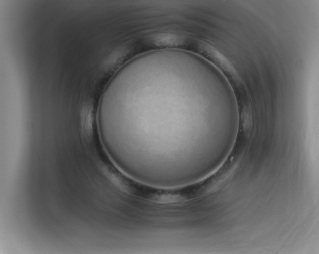 X0000113910637200909241510