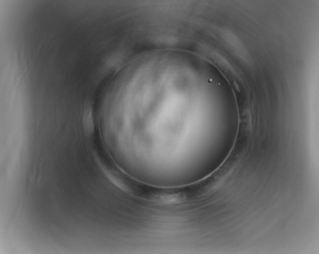 X0000113910638200909241510