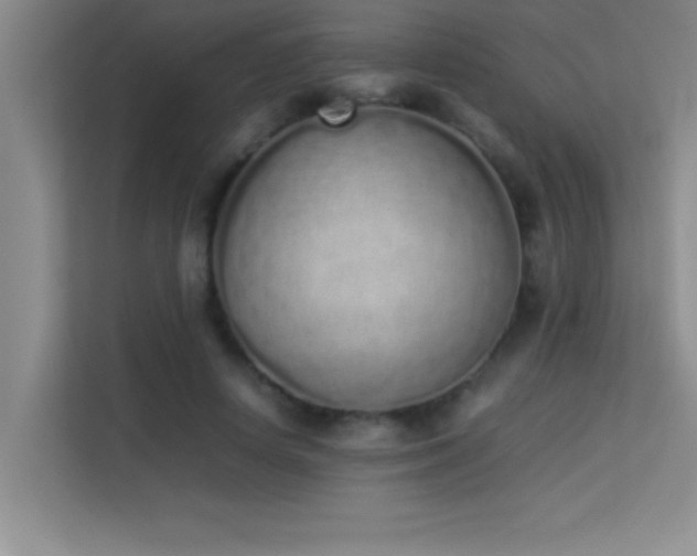 X0000113910642200909241510