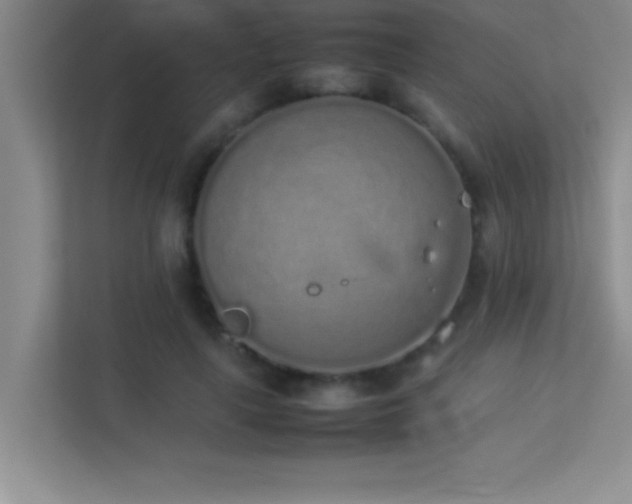 X0000113910643200909241510