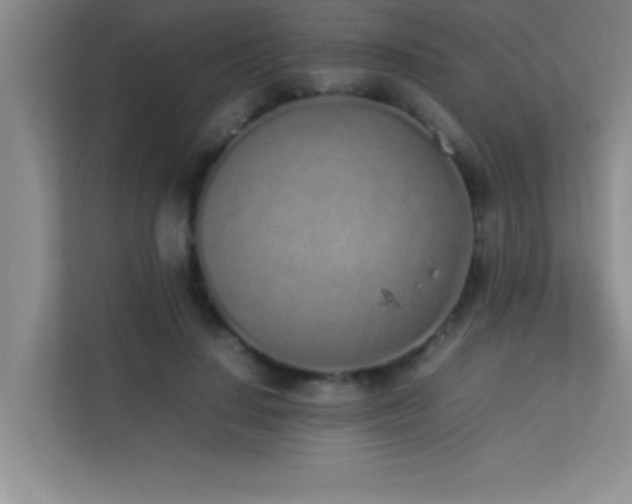 X0000113910644200909241510