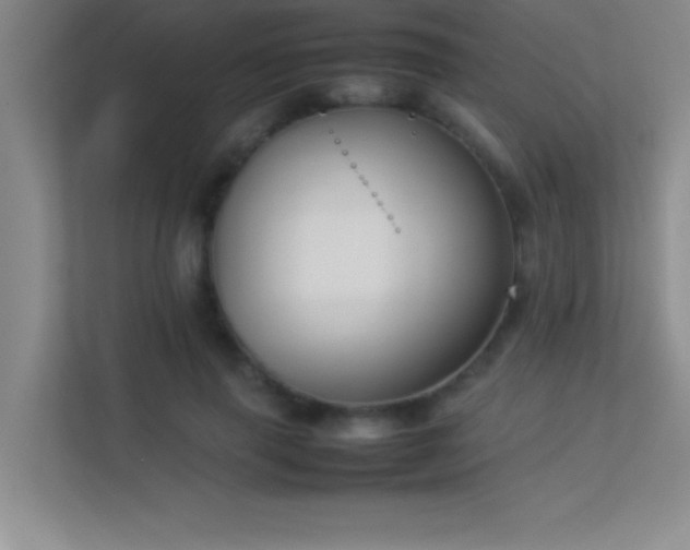X0000113910645200909241510