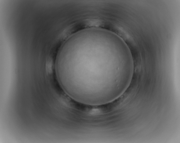 X0000113910647200909241510
