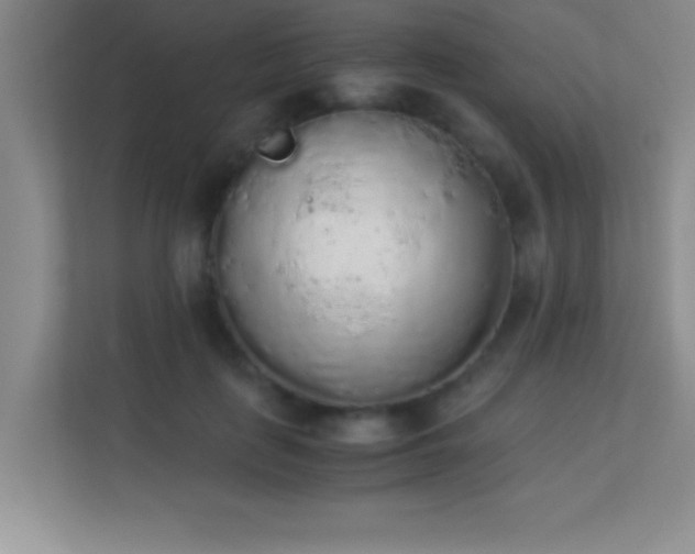 X0000113910651200909241510
