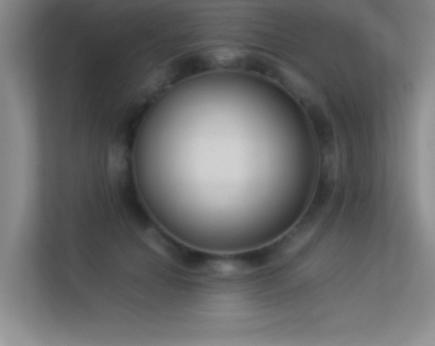 X0000113910654200909241510