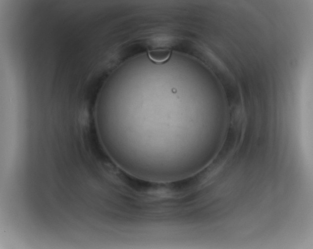 X0000113910655200909241510
