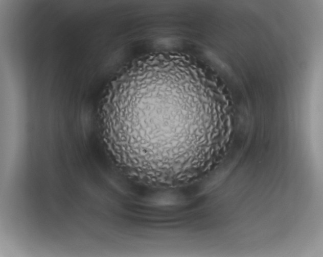X0000113910659200909241510