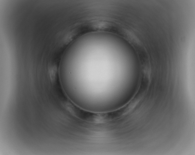X0000113910660200909241510