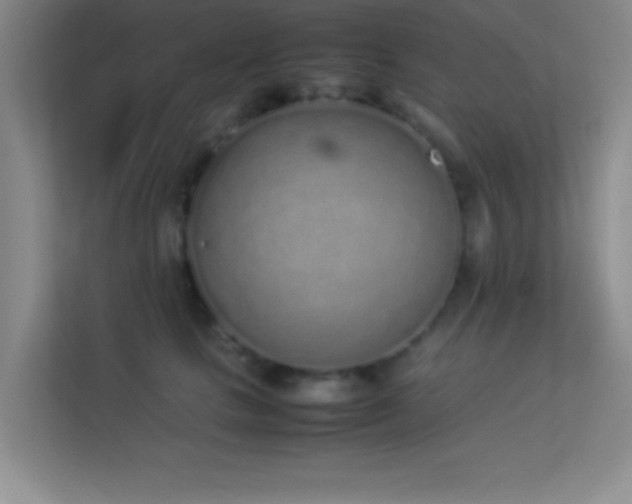 X0000113910661200909241510