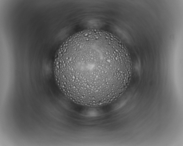 X0000113910663200909241510
