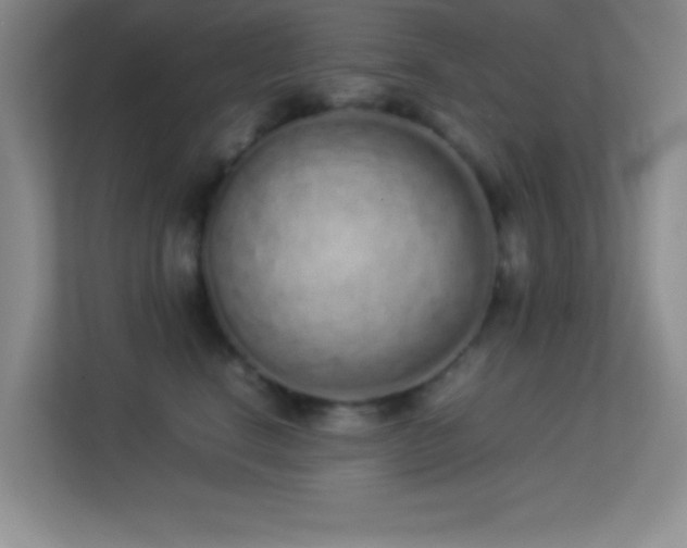 X0000113910664200909241510