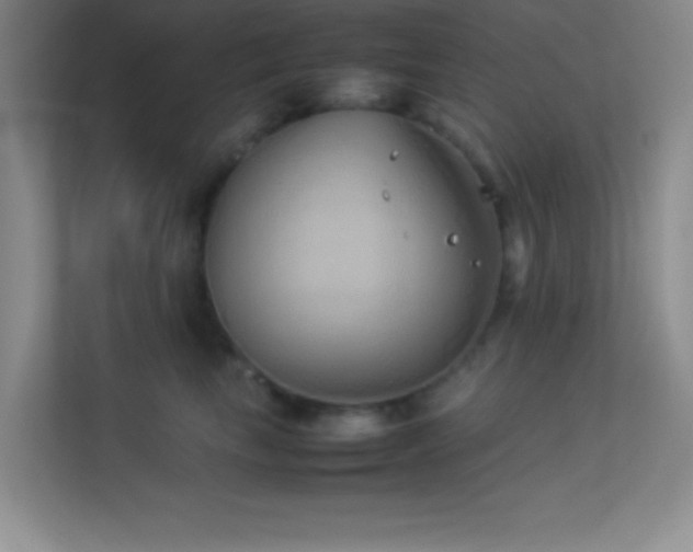 X0000113910665200909241510
