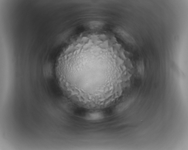 X0000113910667200909241510