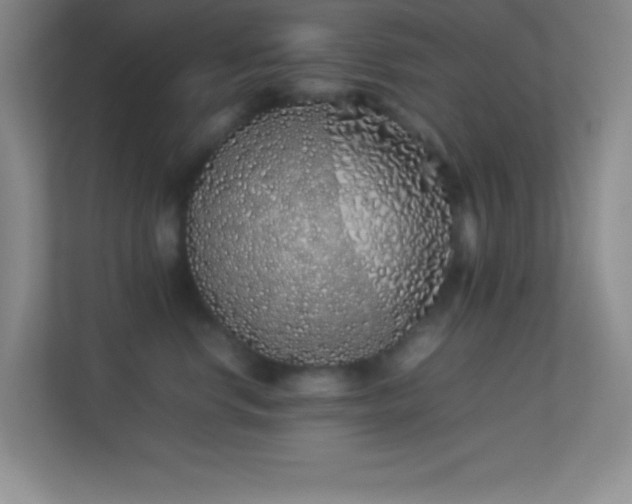 X0000113910668200909241511