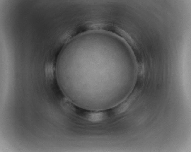 X0000113910669200909241511