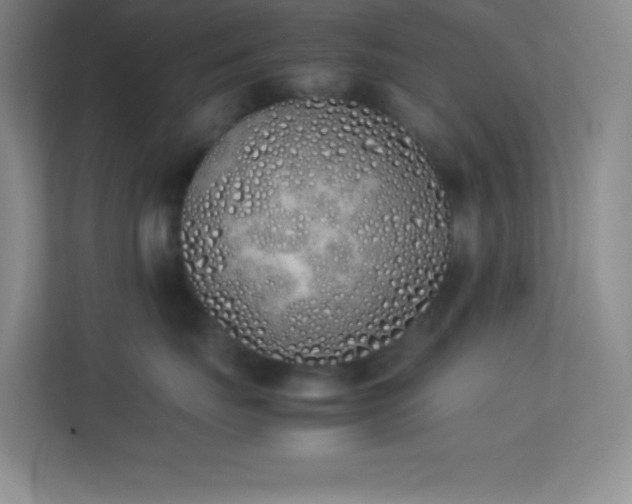 X0000113910671200909241511