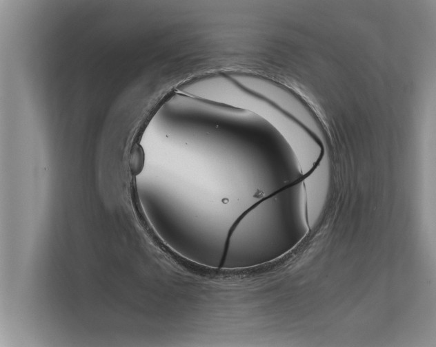 X0000113910673200909241510
