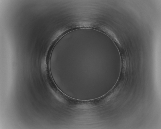 X0000113910674200909241510