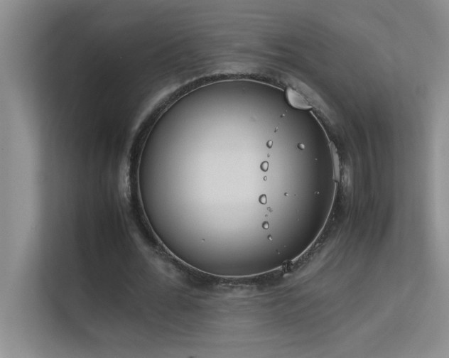 X0000113910676200909241510