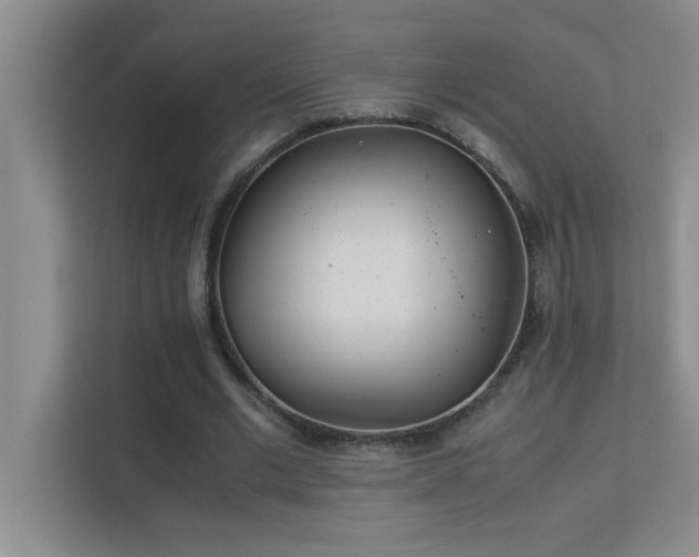 X0000113910677200909241510