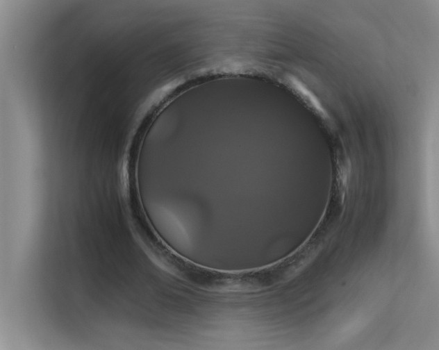 X0000113910678200909241510