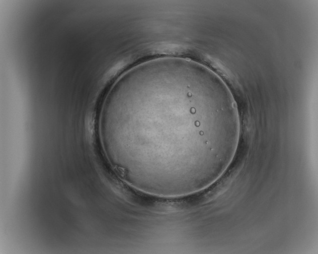 X0000113910679200909241510