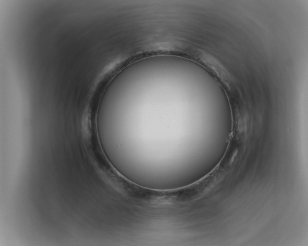 X0000113910680200909241510