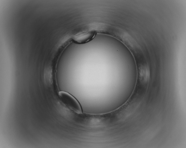 X0000113910684200909241510