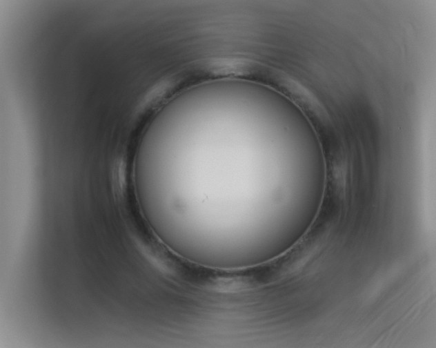X0000113910686200909241510