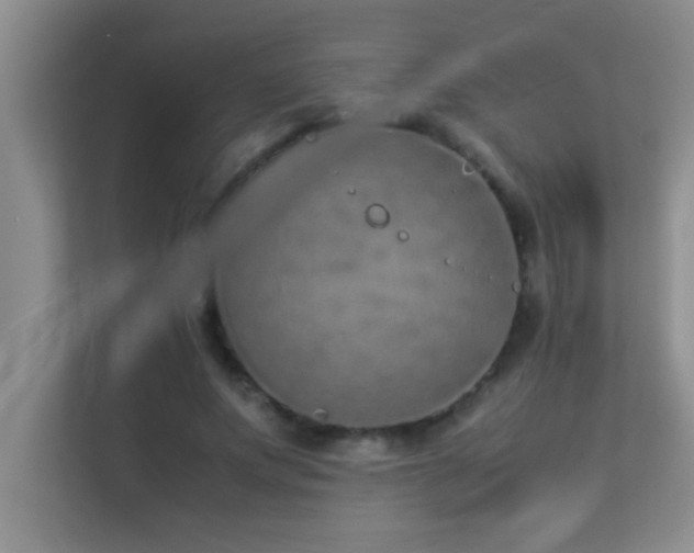X0000113910687200909241510