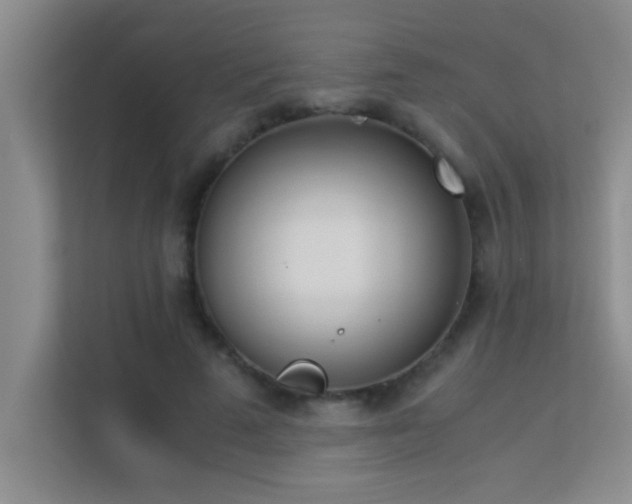 X0000113910689200909241510
