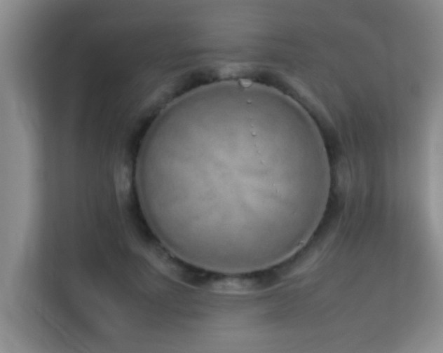 X0000113910691200909241510