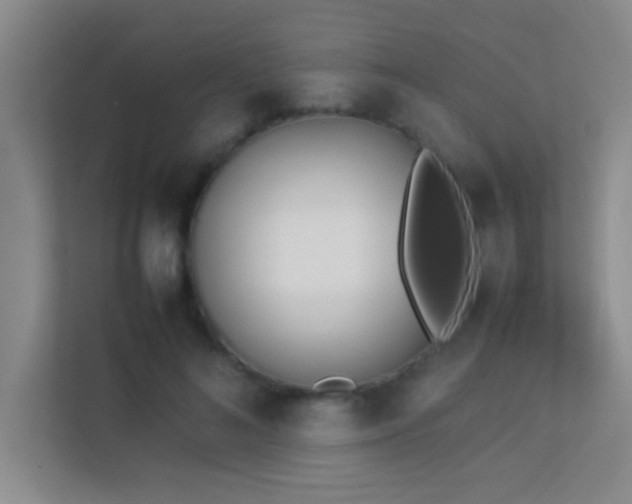 X0000113910692200909241510
