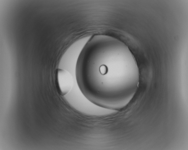 X0000113910697200909241510