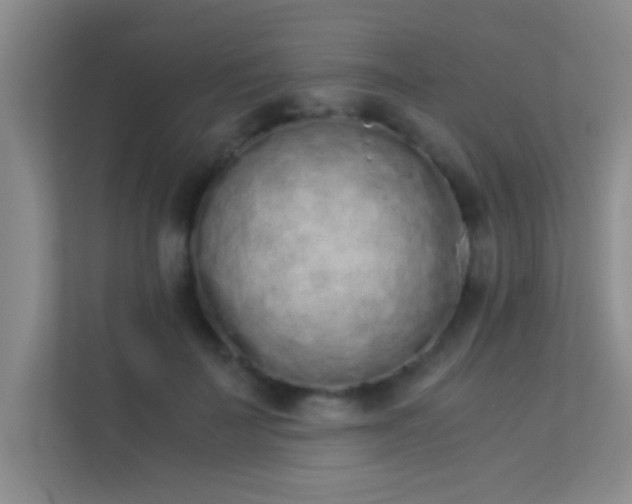 X0000113910699200909241510