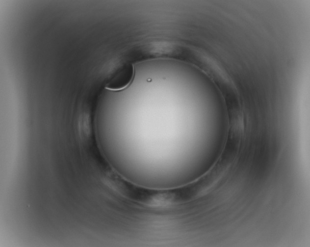 X0000113910700200909241510