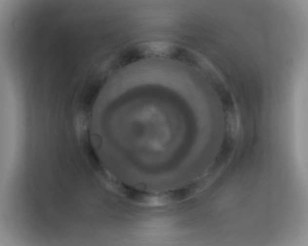 X0000113910701200909241510