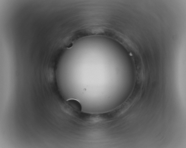 X0000113910704200909241510