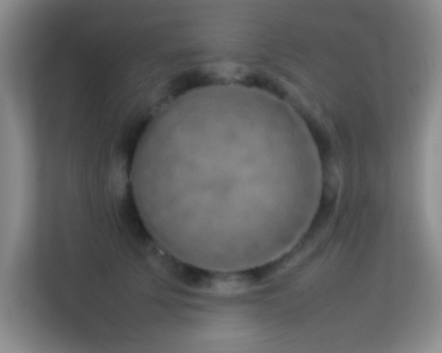 X0000113910707200909241509