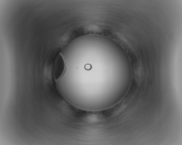 X0000113910708200909241509