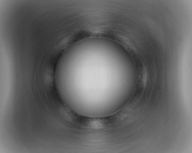 X0000113910710200909241509