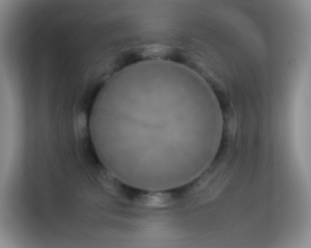 X0000113910711200909241509