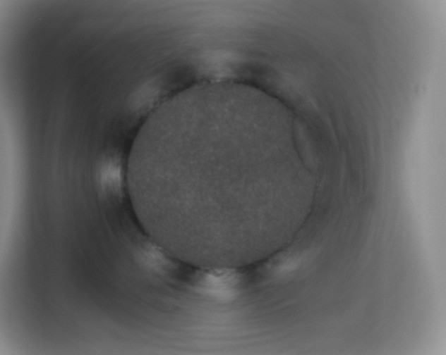X0000113910720200909241509