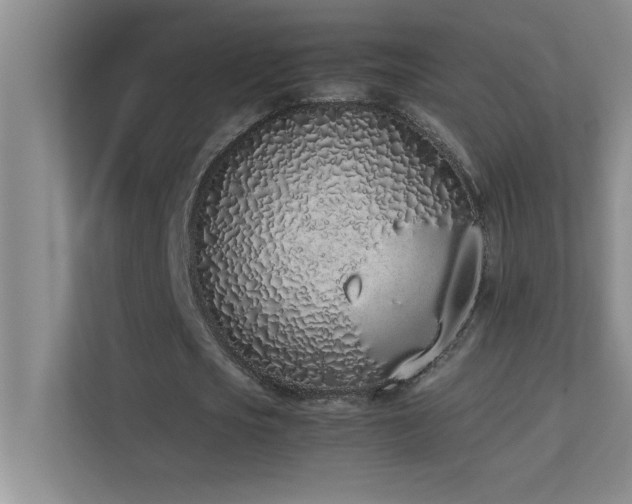 X0000113910721200909241509