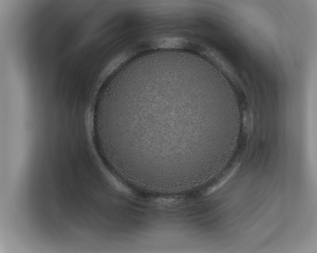 X0000113910725200909241509
