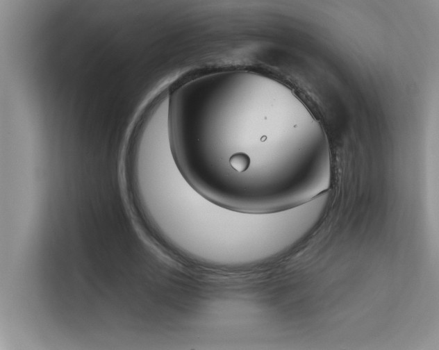 X0000113910726200909241509