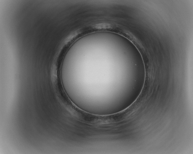 X0000113910727200909241509